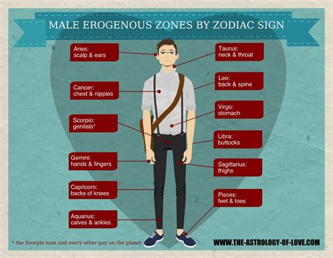 erogene zone man|How to Identify and Stimulate the 14 Erogenous Zones